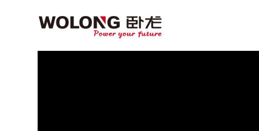 直流无刷电机（无刷电机发明人李红涛---无刷电机之父）-im电竞电机